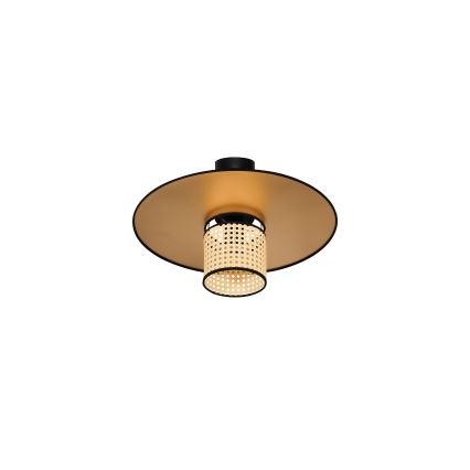 Duolla - Přisazený lustr TOKYO RATTAN 1xE27/15W/230V pr. 50 cm zlatá/ratan