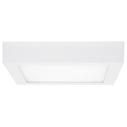 LED Stropní svítidlo RAFA LED/12W/230V 3000/4000/6000K 17x17 cm bílá