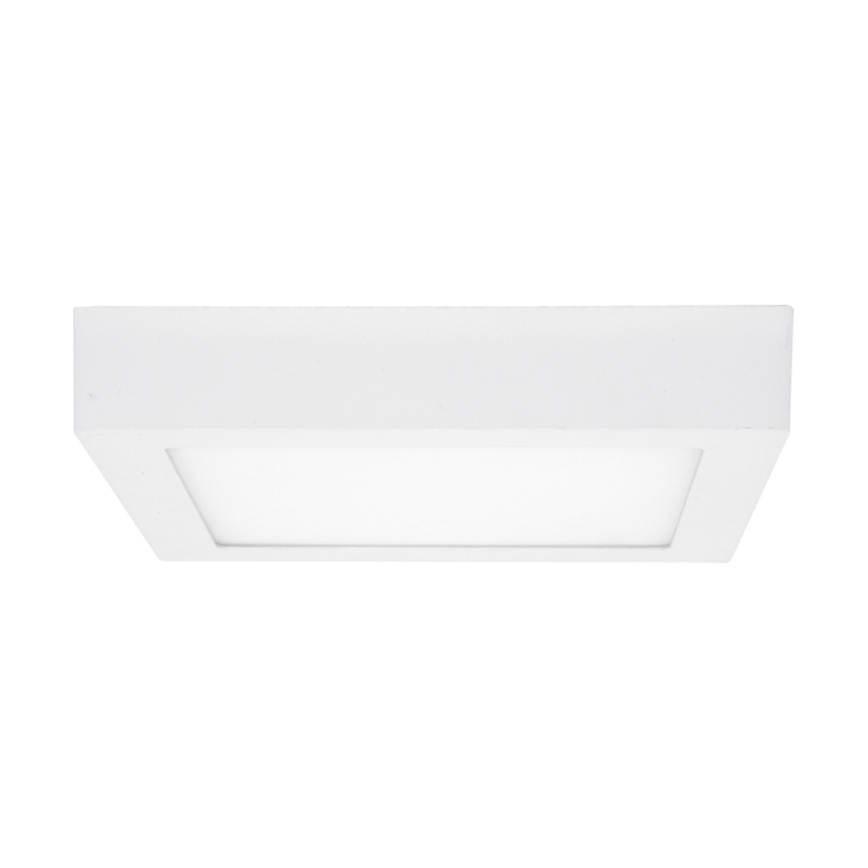 LED Stropní svítidlo RAFA LED/12W/230V 3000/4000/6000K 17x17 cm bílá