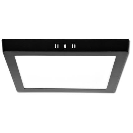 LED Stropní svítidlo RAFA LED/12W/230V 3000/4000/6000K 17x17 cm černá