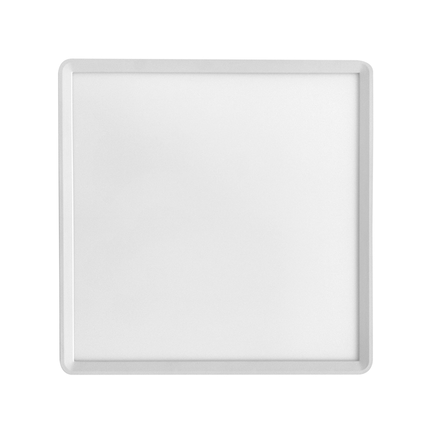 LED Stropní svítidlo TERY LED/40W/230V 3000/4000/6000K 50x50 cm IP40 bílá