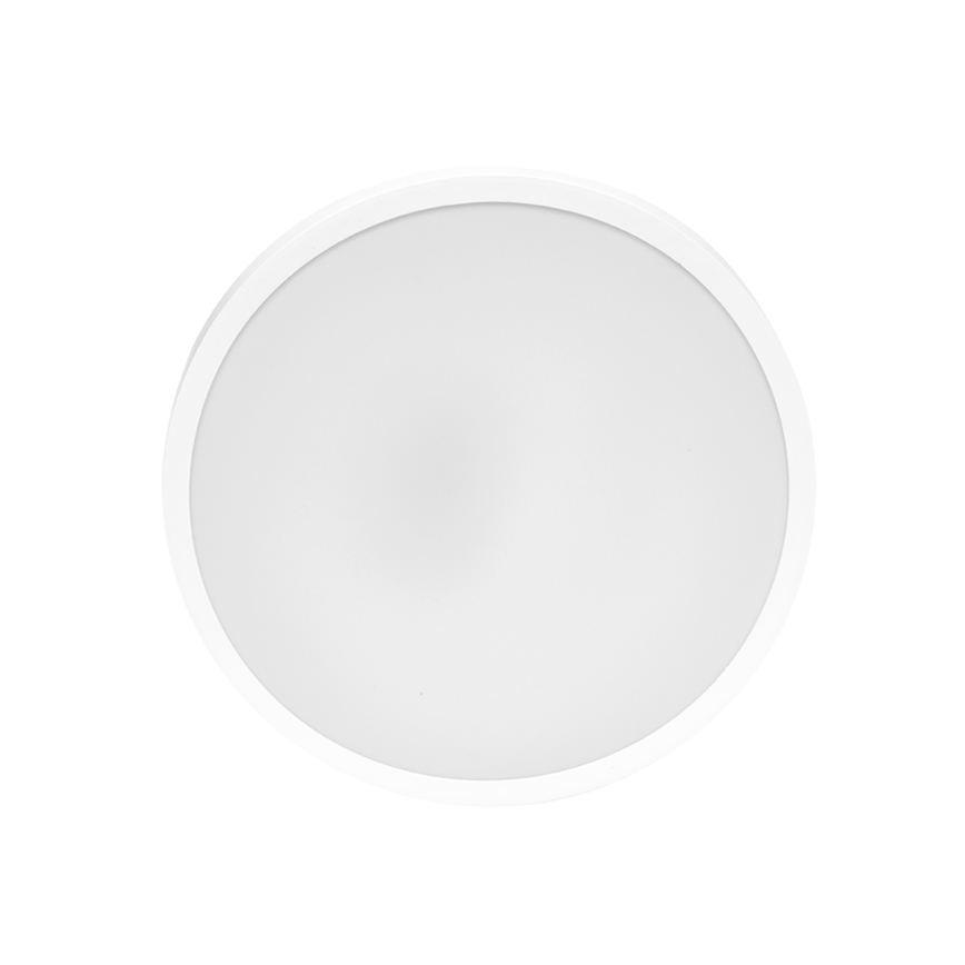 LED Koupelnové stropní svítidlo LIRA LED/12W/230V 4000K pr. 25 cm IP44 bílá
