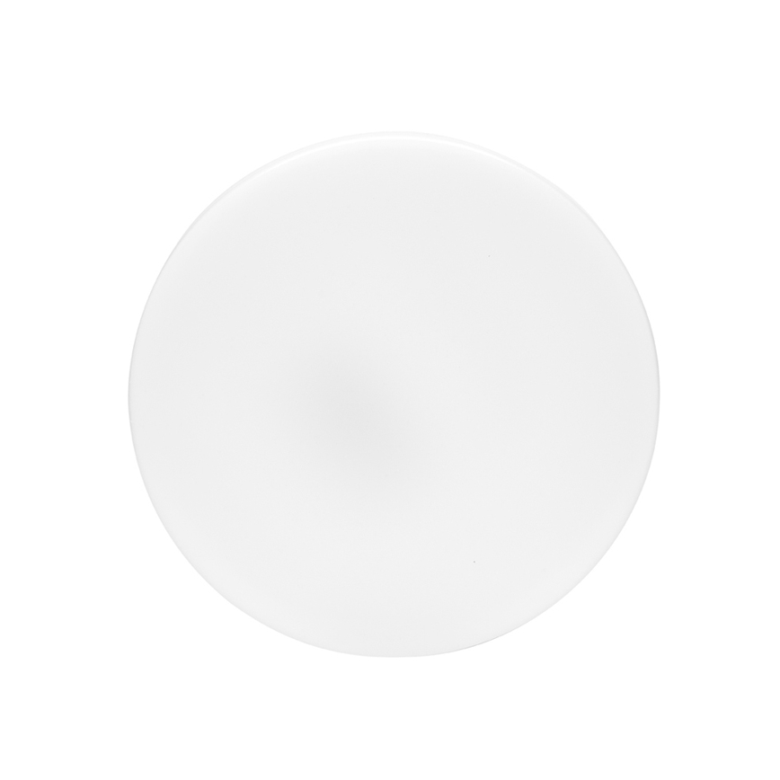 LED Koupelnové stropní svítidlo LIRA LED/12W/230V 4000K pr. 24 cm IP44