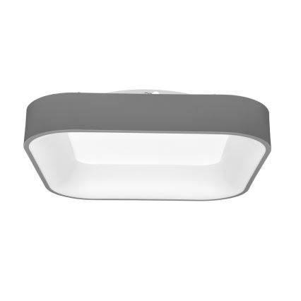 LED Stmívatelné stropní svítidlo NEST LED/40W/230V 3000-6500K šedá + dálkové ovládání 