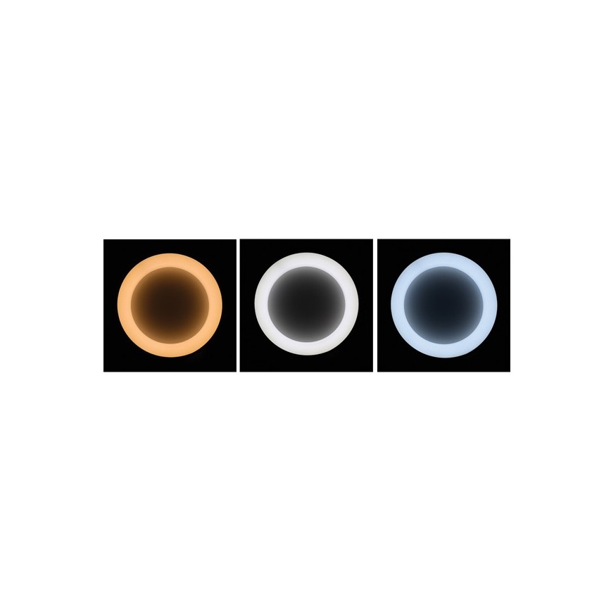 LED Stmívatelný lustr na lanku NEST LED/40W/230V 3000-6500K šedá + dálkové ovládání