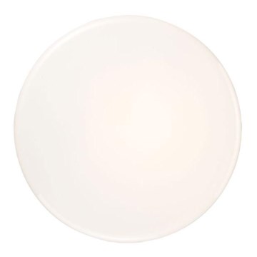 EGLO 22344 - Stropní svítidlo 1xE27/11W EGLO 22344 - Stropní svítidlo 1xE27/11W