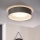 Eglo 31623 - LED Stropní svítidlo MASERLO LED/16W/230V 3000K pr. 40,5 cm šedá/stříbrná