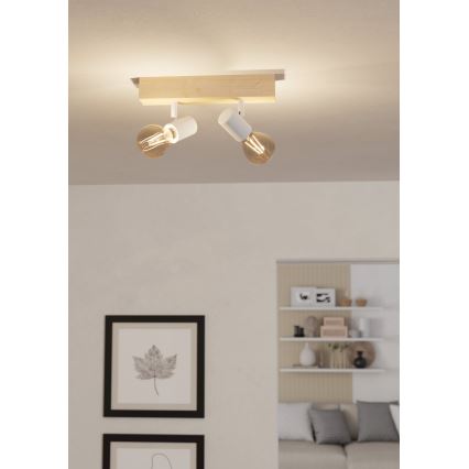 Eglo - Bodové svítidlo TOWNSHEND 2xE27/60W/230V