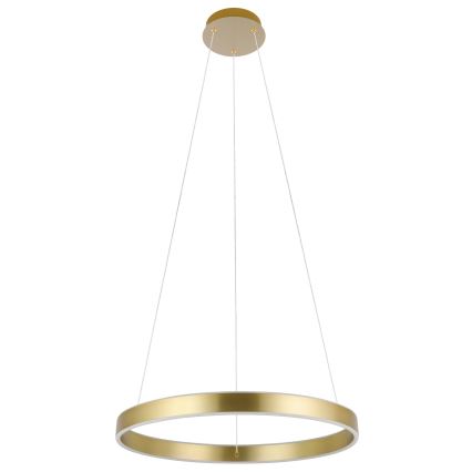 Eglo 33484 - LED Lustr na lanku ALCAZABA 2xLED/18W/230V 3000K pr. 55 cm zlatá