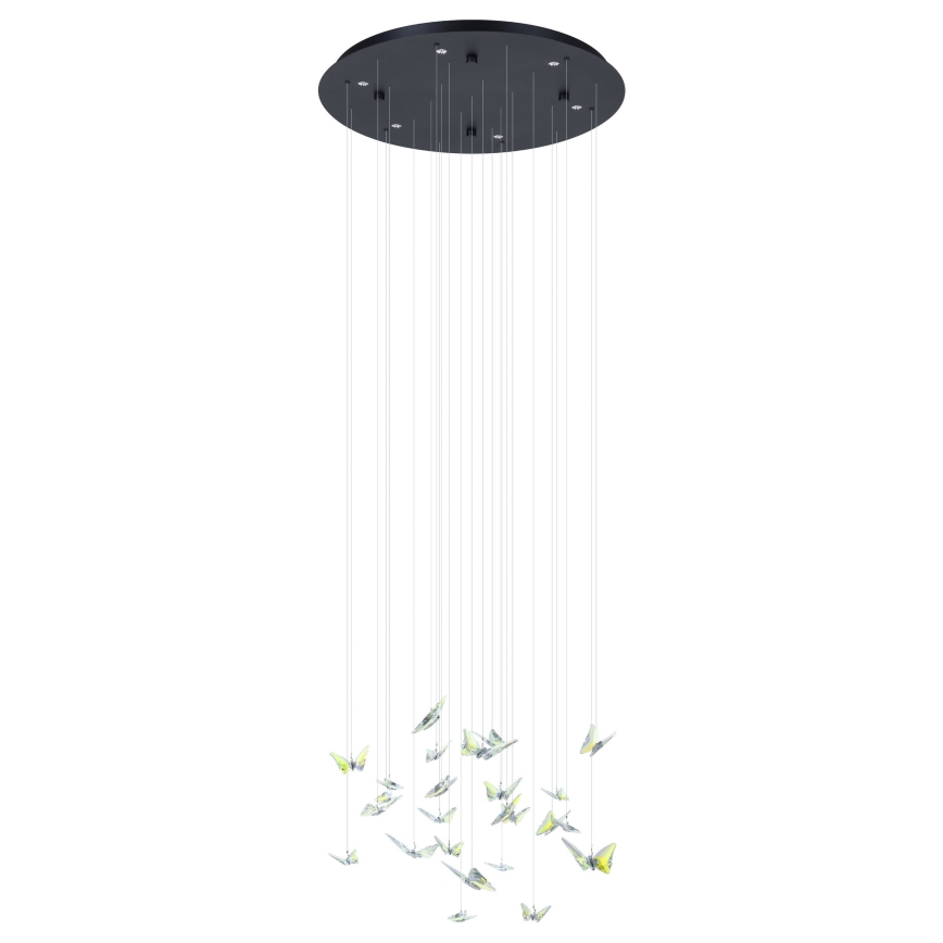 Eglo - LED Stmívatelný lustr na lanku 6xLED/4,2W/230V černá/čirá
