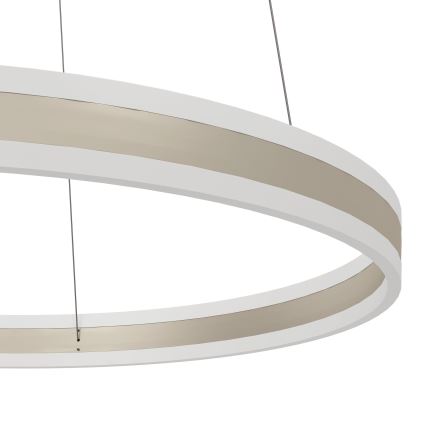 Eglo - LED Stmívatelný lustr na lanku LED/78W/230V