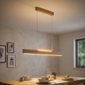 Eglo 39344 - LED Lustr na lanku CLIMENE LED/17W/230V + LED/4,2W dub