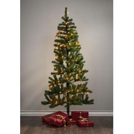 Eglo - LED Venkovní vánoční řetěz 80xLED 10,5m IP44 teplá bílá