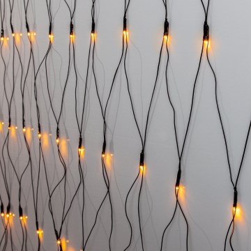 Eglo 410826 - LED Venkovní vánoční řetěz 200xLED/3x3m IP44 teplá bílá