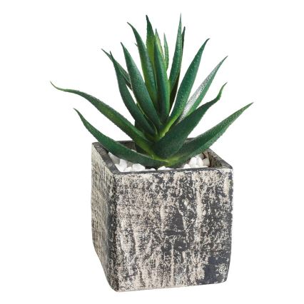 Eglo - Umělá rostlina v květináči 13x9,5 cm sukulent