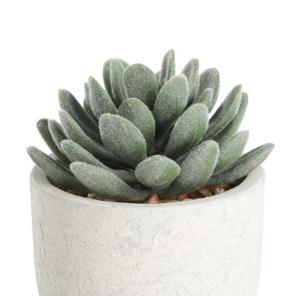 Eglo - Umělá rostlina v květináči 11x8 cm sukulent
