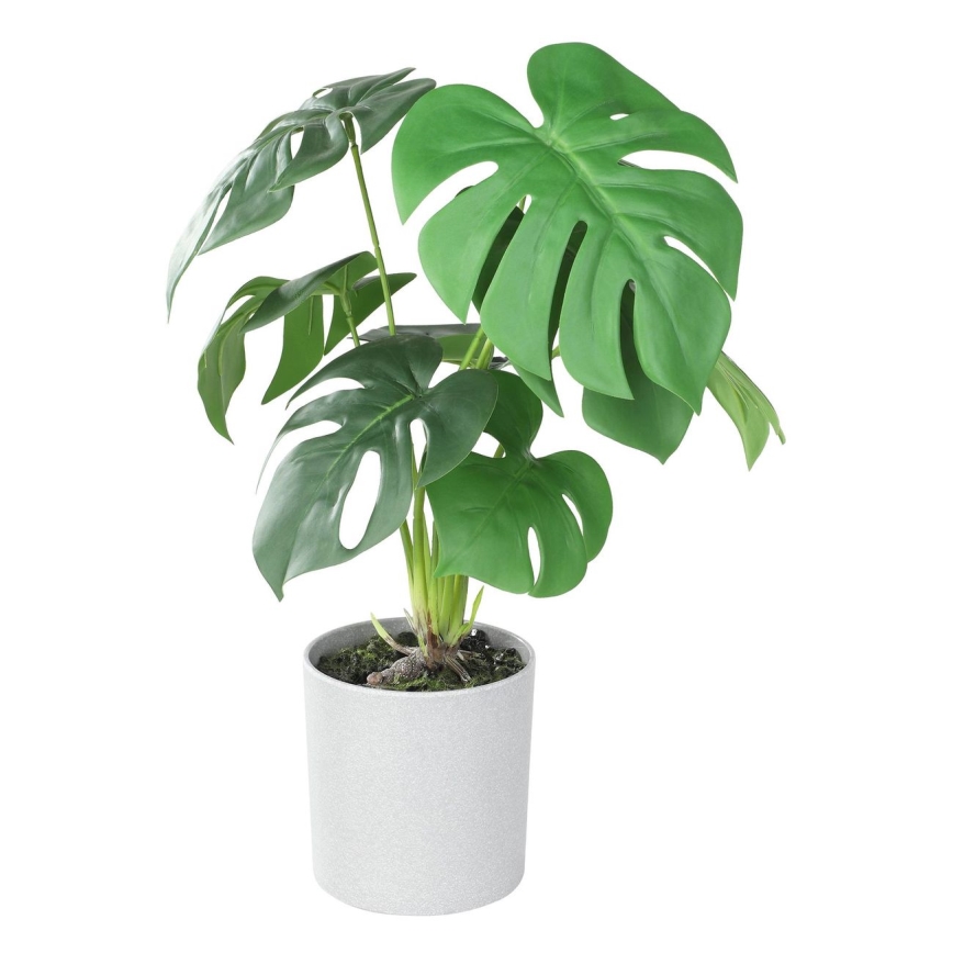 Eglo - Umělá rostlina v květináči 42x30 cm monstera