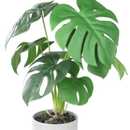 Eglo - Umělá rostlina v květináči 42x30 cm monstera