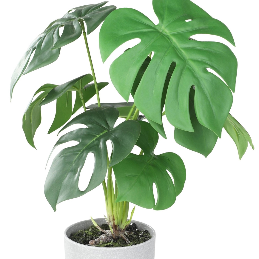 Eglo - Umělá rostlina v květináči 42x30 cm monstera