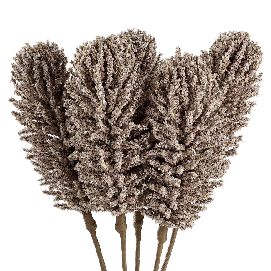 Eglo - Umělá květina 30 cm béžová