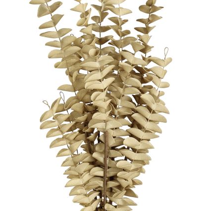 Eglo - Umělá květina 50 cm béžová