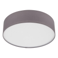 Eglo 55027 - LED Stropní svítidlo 1xE27/11W/230V 3000K