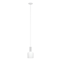Eglo 62265 - Lustr na lanku PASCOA PRO 1xE27/60W/230V 15,6 cm bílá
