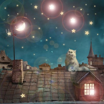 Eglo 75038 - LED svítící dekorační obraz CAT 4xLED/0,02W