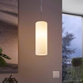 Eglo 75251 - LED RGB Stmívatelný lustr na lanku ELLUNO-C E27/7,5W/230V
