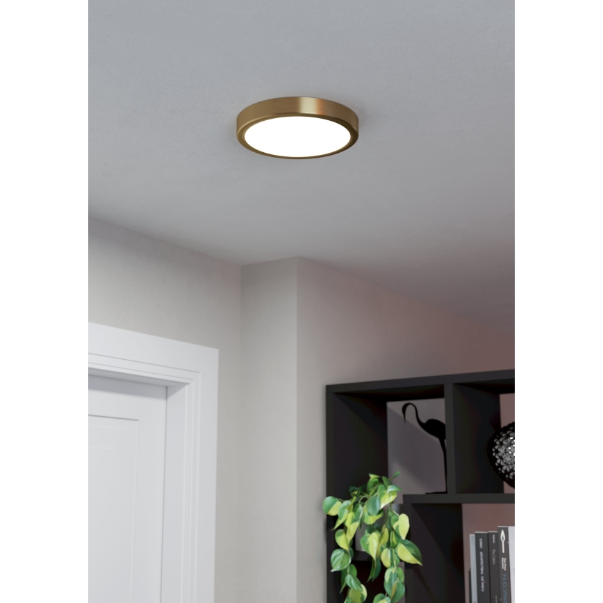 Eglo - LED Stropní svítidlo LED/17W/230V pr. 21 cm