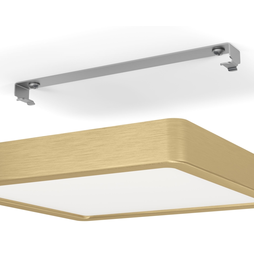 Eglo - LED Stropní svítidlo LED/17W/230V