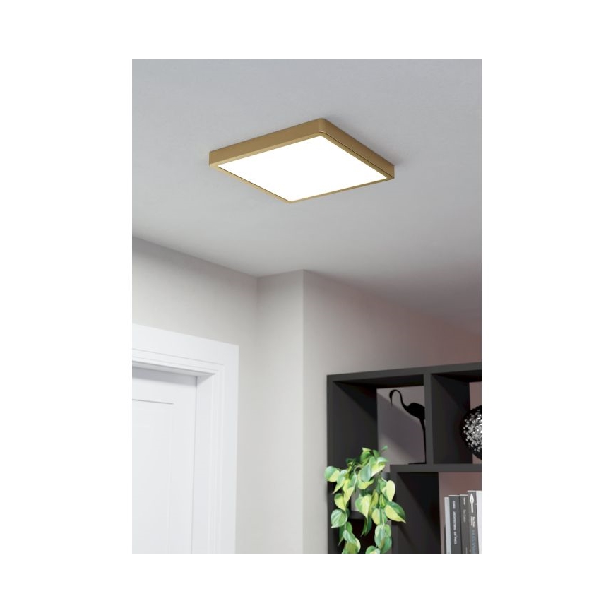 Eglo - LED Stropní svítidlo LED/20,5W/230V