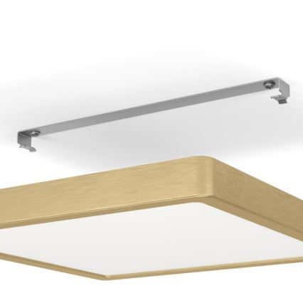 Eglo - LED Stropní svítidlo LED/20,5W/230V