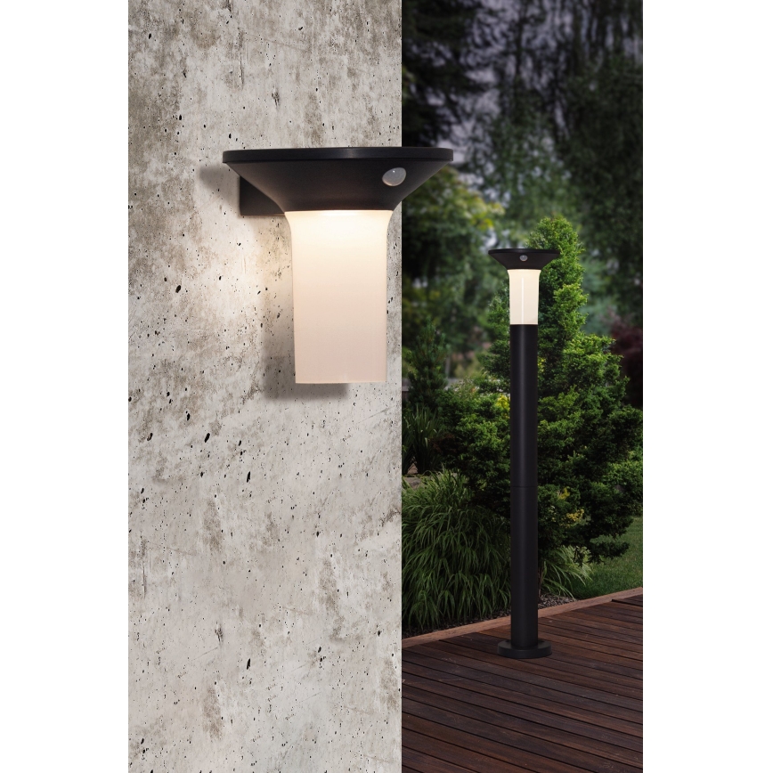 Eglo - LED Venkovní solární svítidlo se senzorem 6xLED/0,03W/3,7V IP44