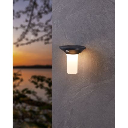 Eglo - LED Venkovní solární svítidlo se senzorem 6xLED/0,03W/3,7V IP44
