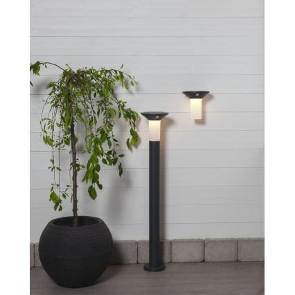Eglo - LED Venkovní solární svítidlo se senzorem 6xLED/0,03W/3,7V IP44