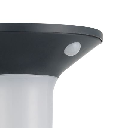 Eglo - LED Venkovní solární svítidlo se senzorem 6xLED/0,03W/3,7V IP44