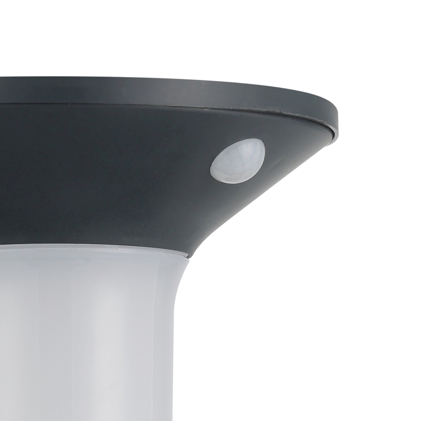 Eglo - LED Venkovní solární svítidlo se senzorem 6xLED/0,03W/3,7V IP44