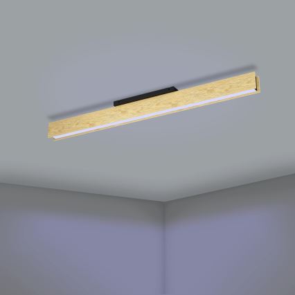 Eglo - LED RGBW Stmívatelné stropní svítidlo LED/35W/230V 2700-6500K
