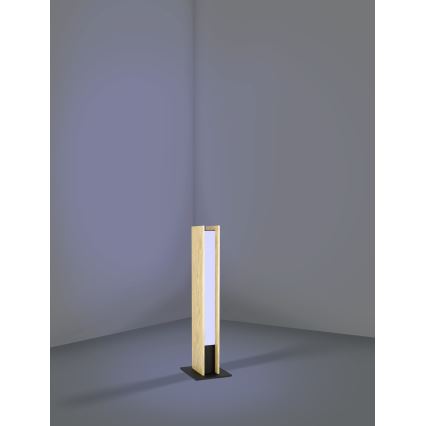 Eglo - LED RGBW Stmívatelná stolní lampa LED/16W/230V 2700-6500K