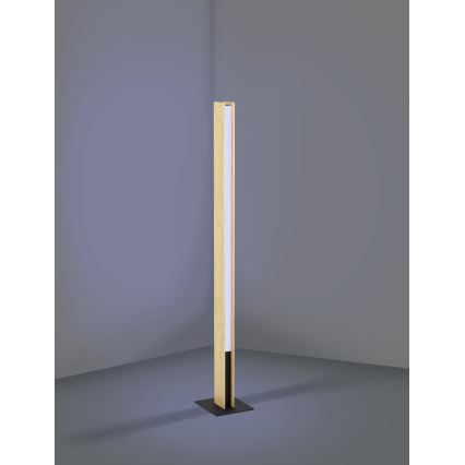 Eglo - LED RGBW Stmívatelná stojací lampa LED/35W/230V 2700-6500K