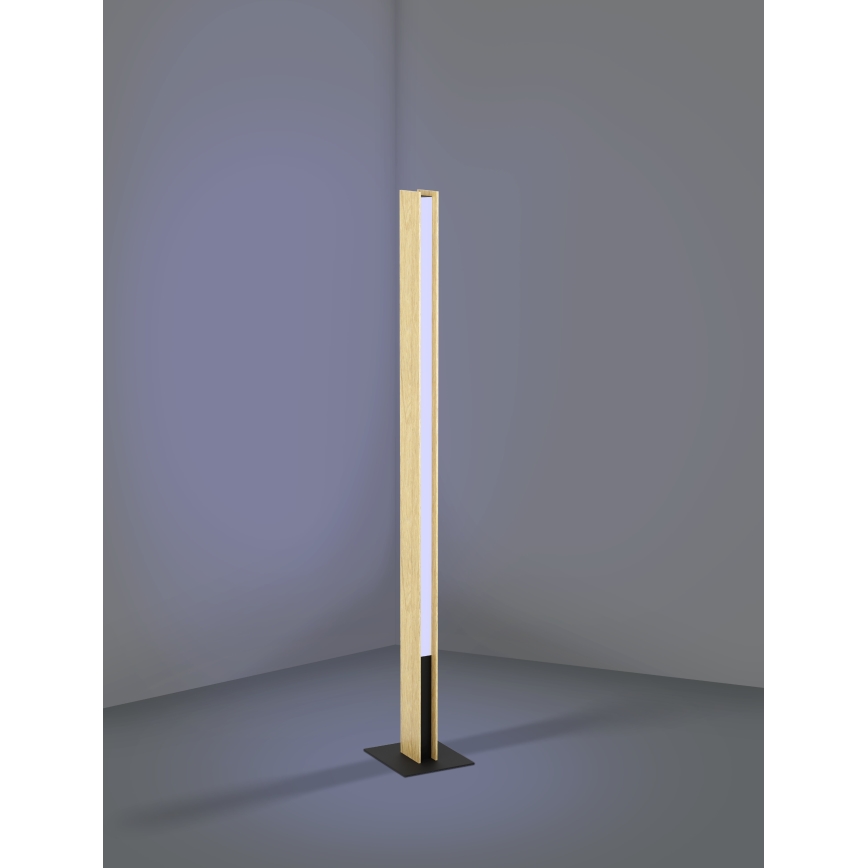 Eglo - LED RGBW Stmívatelná stojací lampa LED/35W/230V 2700-6500K