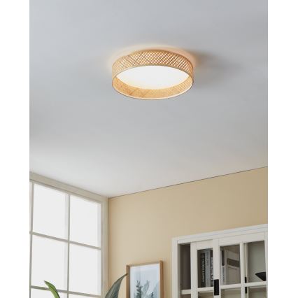 Eglo - LED Stropní svítidlo LED/24W/230V