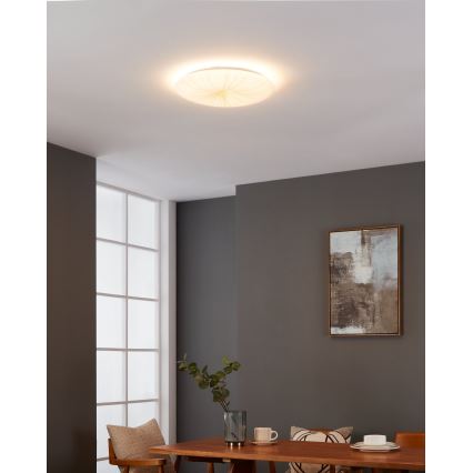 Eglo - LED Stropní svítidlo LED/19,5W/230V
