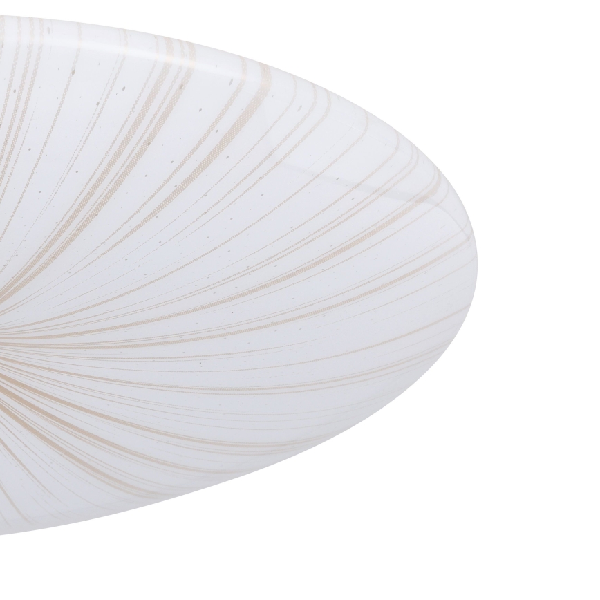 Eglo - LED Stropní svítidlo LED/19,5W/230V