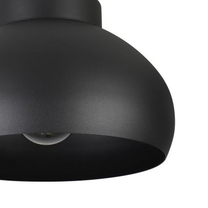 Eglo - Stropní svítidlo 1xE27/40W/230V černá