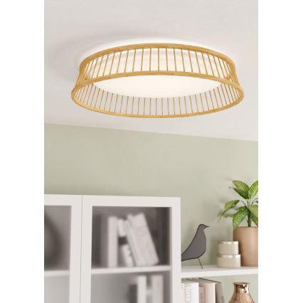 Eglo - LED Stropní svítidlo LED/20W/230V hnědá