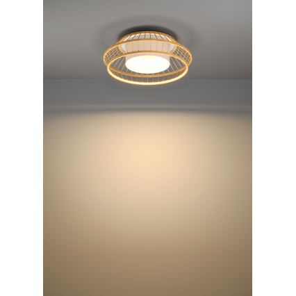 Eglo - LED RGBW Stmívatelné stropní svítidlo LED/22W/230V 2700-6500K