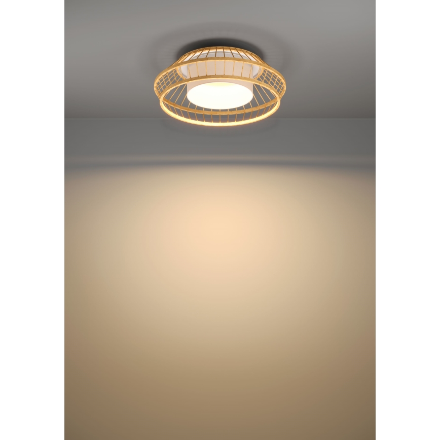 Eglo - LED RGBW Stmívatelné stropní svítidlo LED/22W/230V 2700-6500K