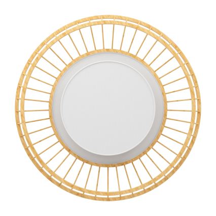 Eglo - LED RGBW Stmívatelné stropní svítidlo LED/22W/230V 2700-6500K